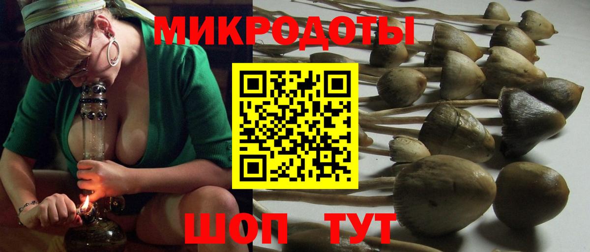Нижний Новгород  даркнет сайт  Вход с VPN  Псилоцибиновые грибы мухоморы 